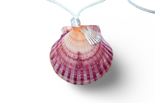 "Nixie" Seashell Necklace